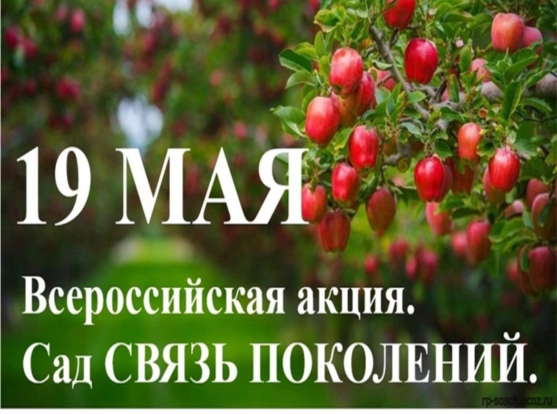 Всероссийская акция «Сад – связь поколений»,.